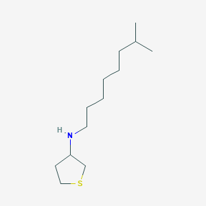 molecular formula C13H27NS B13293205 N-(7-methyloctyl)thiolan-3-amine 
