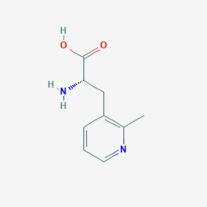 molecular formula C9H12N2O2 B13293731 (2S)-2-amino-3-(2-methylpyridin-3-yl)propanoic acid 