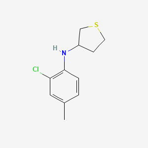 molecular formula C11H14ClNS B13294040 N-(2-chloro-4-methylphenyl)thiolan-3-amine 