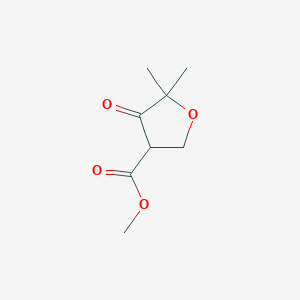molecular formula C8H12O4 B13294055 Methyl 5,5-dimethyl-4-oxooxolane-3-carboxylate CAS No. 52704-92-4
