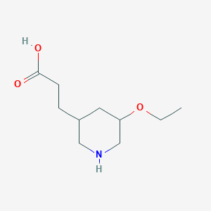 molecular formula C10H19NO3 B13294586 3-(5-Ethoxypiperidin-3-yl)propanoic acid 