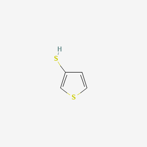 molecular formula C4H4S2 B1329469 噻吩-3-硫醇 CAS No. 7774-73-4