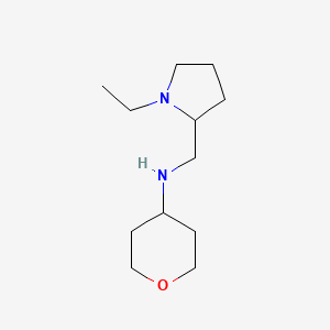 molecular formula C12H24N2O B13294918 N-[(1-ethylpyrrolidin-2-yl)methyl]oxan-4-amine CAS No. 1157009-60-3