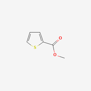 Methyl thiophene-2-carboxylate