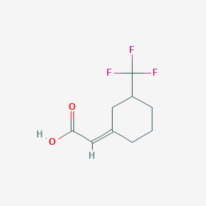 molecular formula C9H11F3O2 B13295354 2-[(1Z)-3-(Trifluoromethyl)cyclohexylidene]acetic acid 
