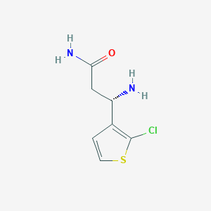 molecular formula C7H9ClN2OS B13295817 (3S)-3-Amino-3-(2-chlorothiophen-3-yl)propanamide 
