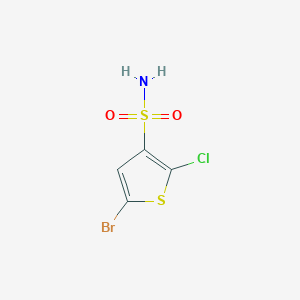 molecular formula C4H3BrClNO2S2 B13296410 5-Bromo-2-chlorothiophene-3-sulfonamide 