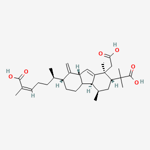 molecular formula C30H44O6 B13296554 KadcoccinicacidA 