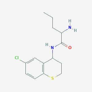 molecular formula C14H19ClN2OS B13296617 2-Amino-N-(6-chloro-3,4-dihydro-2H-1-benzothiopyran-4-YL)pentanamide 