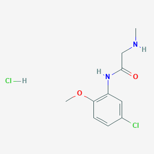 molecular formula C10H14Cl2N2O2 B13296828 N-(5-chloro-2-methoxyphenyl)-2-(methylamino)acetamide hydrochloride 