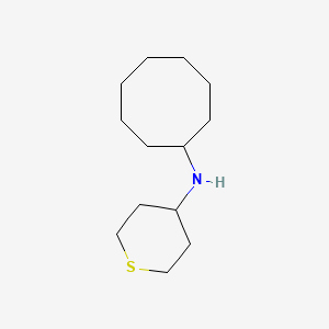molecular formula C13H25NS B13296858 N-cyclooctylthian-4-amine 