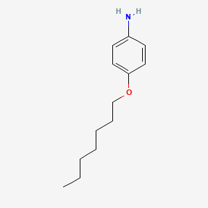 molecular formula C13H21NO B1329862 p-Heptyloxyaniline CAS No. 39905-44-7