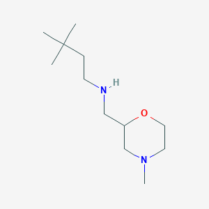 molecular formula C12H26N2O B13303494 (3,3-Dimethylbutyl)[(4-methylmorpholin-2-yl)methyl]amine 