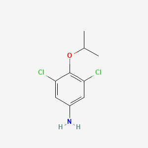 molecular formula C9H11Cl2NO B13303943 3,5-Dichloro-4-(propan-2-yloxy)aniline 