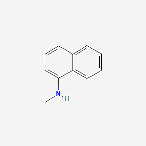 molecular formula C11H11N B1330401 N-甲基萘-1-胺 CAS No. 2216-68-4