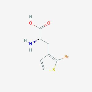 molecular formula C7H8BrNO2S B13304415 (2S)-2-Amino-3-(2-bromothiophen-3-yl)propanoic acid 