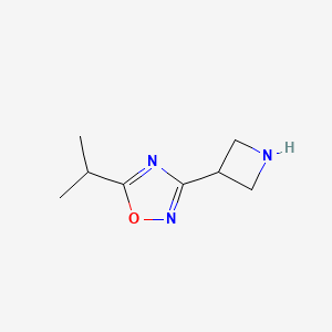 molecular formula C8H13N3O B13306608 3-(Azetidin-3-YL)-5-(propan-2-YL)-1,2,4-oxadiazole 
