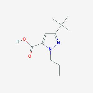 molecular formula C11H18N2O2 B13307070 3-Tert-butyl-1-propyl-1H-pyrazole-5-carboxylic acid 