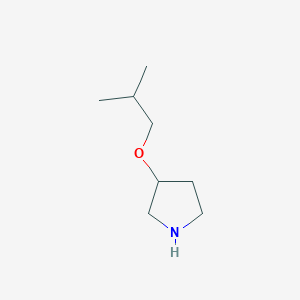 molecular formula C8H17NO B13309666 (S)-3-Isobutoxypyrrolidine 
