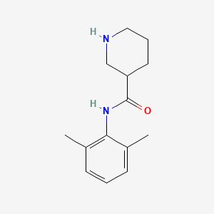 molecular formula C14H20N2O B1330983 N-(2,6-dimethylphenyl)piperidine-3-carboxamide CAS No. 337488-90-1