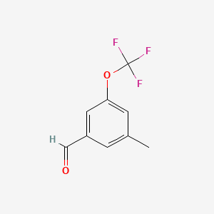 molecular formula C9H7F3O2 B1331578 3-甲基-5-(三氟甲氧基)苯甲醛 CAS No. 1000339-55-8