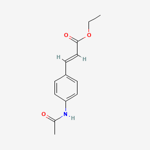 molecular formula C13H15NO3 B13316151 Ethyl (2E)-3-(4-acetamidophenyl)prop-2-enoate 