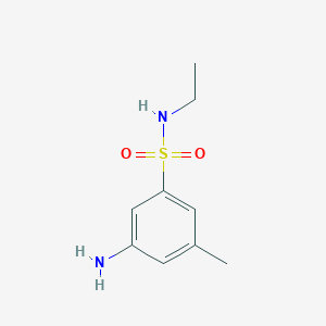 molecular formula C9H14N2O2S B13332046 3-Amino-N-ethyl-5-methylbenzene-1-sulfonamide 