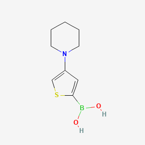 molecular formula C9H14BNO2S B13333010 (4-(Piperidin-1-yl)thiophen-2-yl)boronic acid 