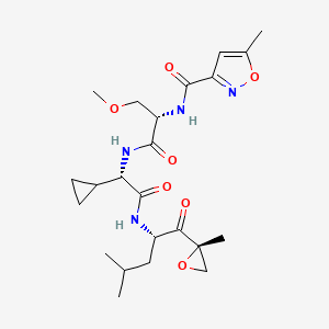 molecular formula C23H34N4O7 B13334050 N-((S)-1-(((S)-1-Cyclopropyl-2-(((S)-4-methyl-1-((S)-2-methyloxiran-2-yl)-1-oxopentan-2-yl)amino)-2-oxoethyl)amino)-3-methoxy-1-oxopropan-2-yl)-5-methylisoxazole-3-carboxamide 