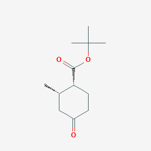 molecular formula C12H20O3 B13334108 tert-Butyl (1R,2S)-2-methyl-4-oxocyclohexane-1-carboxylate 