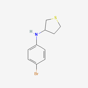 molecular formula C10H12BrNS B13334991 N-(4-bromophenyl)thiolan-3-amine 