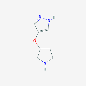 molecular formula C7H11N3O B13336152 4-(Pyrrolidin-3-yloxy)-1H-pyrazole 