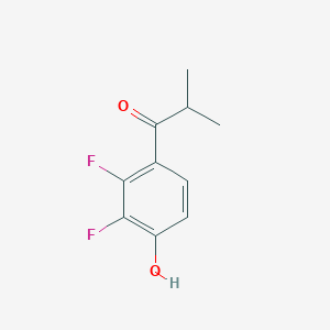 molecular formula C10H10F2O2 B13340124 1-(2,3-Difluoro-4-hydroxyphenyl)-2-methylpropan-1-one 