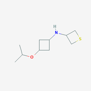 molecular formula C10H19NOS B13344589 N-(3-Isopropoxycyclobutyl)thietan-3-amine 