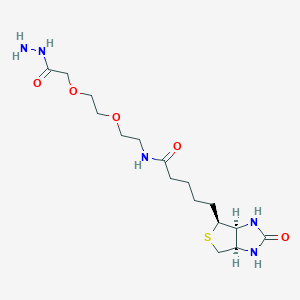 molecular formula C16H29N5O5S B13344821 N-(2-(2-(2-Hydrazineyl-2-oxoethoxy)ethoxy)ethyl)-5-((3aS,4S,6aR)-2-oxohexahydro-1H-thieno[3,4-d]imidazol-4-yl)pentanamide 