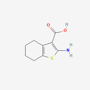 molecular formula C9H11NO2S B1335062 2-amino-4,5,6,7-tetrahydrobenzo[b]thiophene-3-carboxylic acid CAS No. 5936-58-3