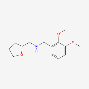B1335111 (2,3-Dimethoxy-benzyl)-(tetrahydro-furan-2-YL-methyl)-amine CAS No. 510723-80-5