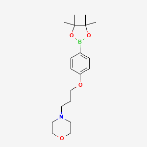 molecular formula C19H30BNO4 B1335395 4-(3-(4-(4,4,5,5-Tetramethyl-1,3,2-dioxaborolan-2-yl)phenoxy)propyl)morpholine CAS No. 910462-33-8