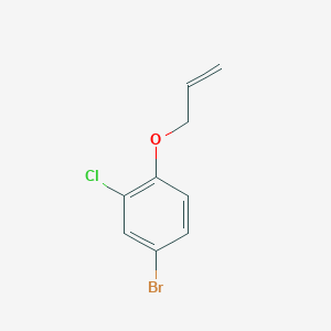 molecular formula C9H8BrClO B1335798 1-(烯丙氧基)-4-溴-2-氯苯 CAS No. 84109-21-7