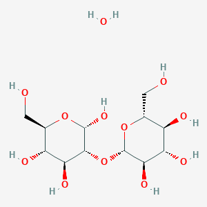 molecular formula C12H24O12 B13361562 Alpha-sophorose monohydrate 
