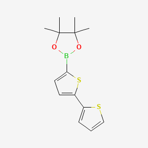 2,2'-Bithiophene-5-boronic acid pinacol ester