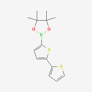 molecular formula C14H17BO2S2 B1336164 2,2'-Bithiophene-5-boronic acid pinacol ester CAS No. 479719-88-5
