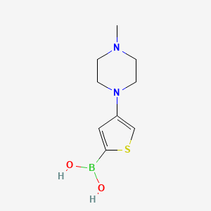 molecular formula C9H15BN2O2S B13362592 (4-(4-Methylpiperazin-1-yl)thiophen-2-yl)boronic acid 