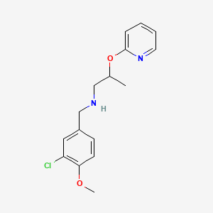 molecular formula C16H19ClN2O2 B13371477 N-(3-chloro-4-methoxybenzyl)-N-[2-(2-pyridinyloxy)propyl]amine 