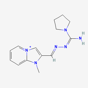 molecular formula C14H19N6+ B13371486 2-{2-[Imino(1-pyrrolidinyl)methyl]carbohydrazonoyl}-1-methylimidazo[1,2-a]pyridin-1-ium 