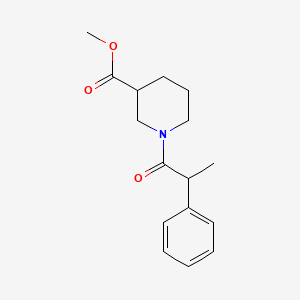 molecular formula C16H21NO3 B13373440 Methyl 1-(2-phenylpropanoyl)-3-piperidinecarboxylate 