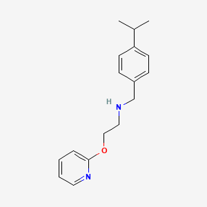 molecular formula C17H22N2O B13373830 N-[4-(propan-2-yl)benzyl]-2-(pyridin-2-yloxy)ethanamine 