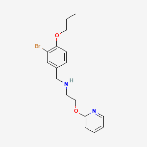 molecular formula C17H21BrN2O2 B13374011 N-(3-bromo-4-propoxybenzyl)-2-(pyridin-2-yloxy)ethanamine 