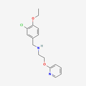molecular formula C16H19ClN2O2 B13374724 N-(3-chloro-4-ethoxybenzyl)-N-[2-(2-pyridinyloxy)ethyl]amine 