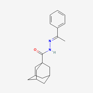 molecular formula C19H24N2O B13374729 N'-(1-phenylethylidene)-1-adamantanecarbohydrazide 